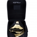 Conn 6D French Horn Case Standing up