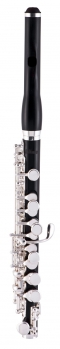 image of a LPC411E 进阶级 短笛