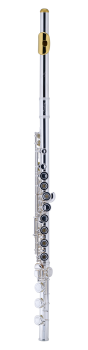 image of a 800BEF 中级 长笛（开孔）