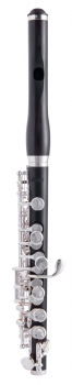 image of a LPC711E 专业级 短笛